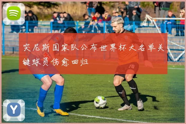 突尼斯国家队公布世界杯大名单关键球员伤愈回归