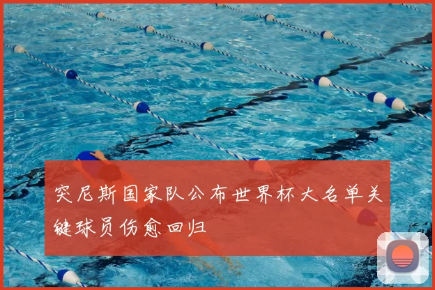 突尼斯国家队公布世界杯大名单关键球员伤愈回归